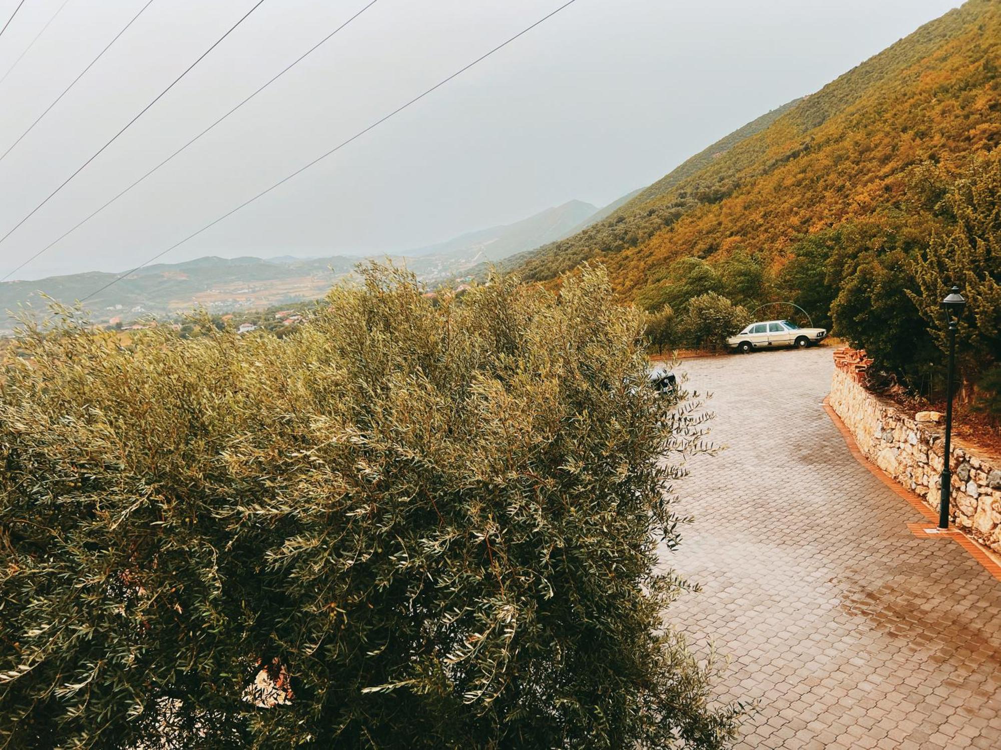 Chateau Fasel Tirana Extérieur photo